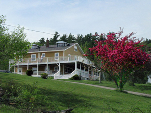 The Island Inn